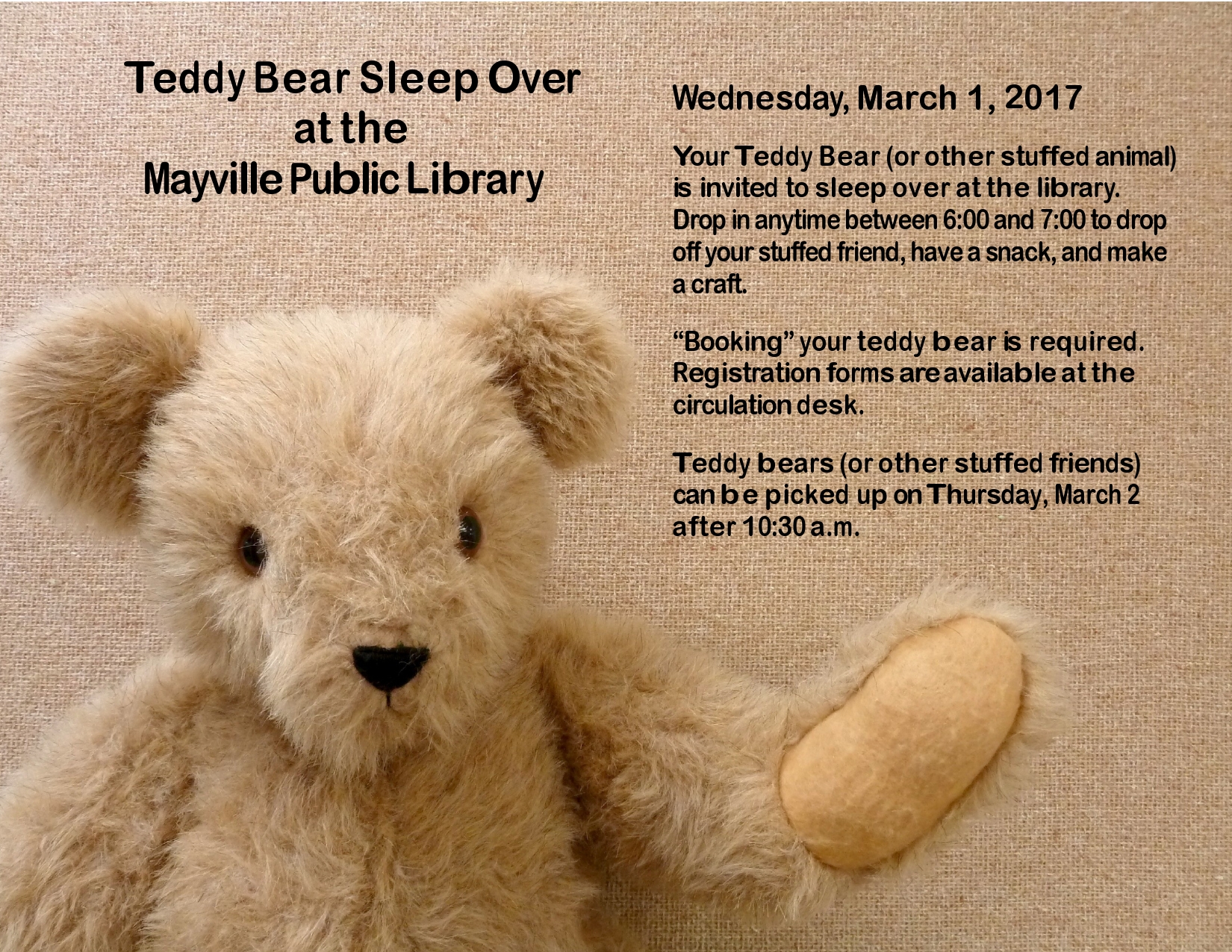 Teddy Bear Sleep Over Flyer-page0001.